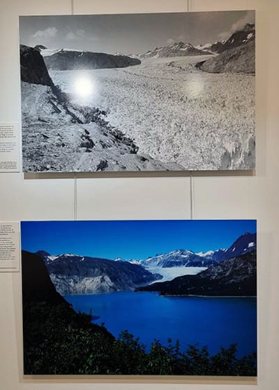 Rückgang des Muir-Gletschers im Glacier Bay National Park in Alaska